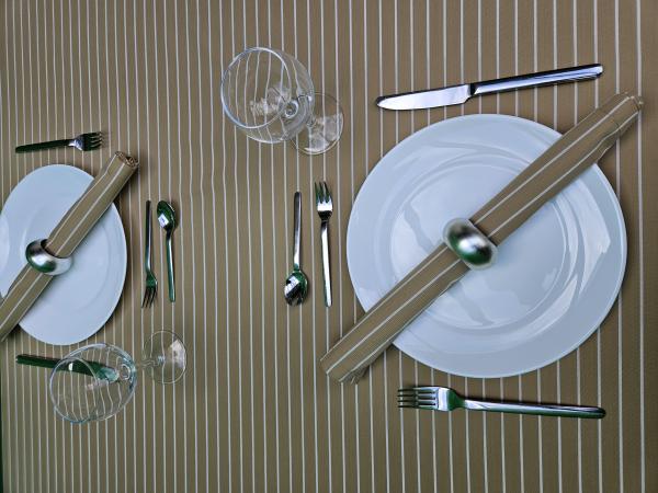 Hussen - Zebra – Stoff mit feiner Streifenstruktur